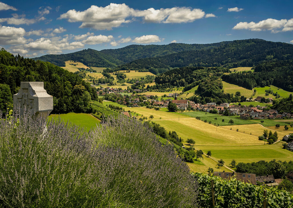 rolling green hills