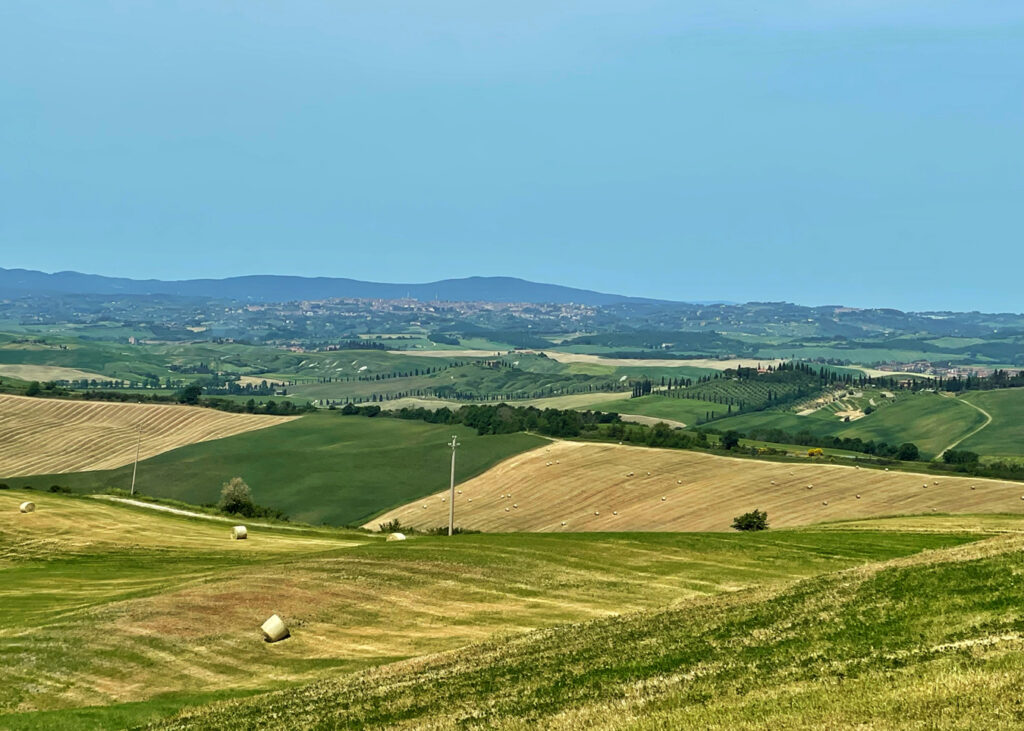 rolling green hills